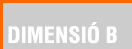 Dimensi B