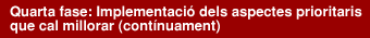 Quarta fase: Implementació dels aspectes prioritaris que cal millorar (contínuament)
