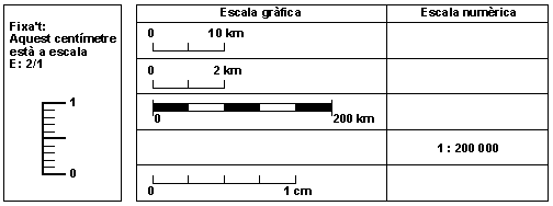 Observant proporcions