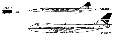 Longitud aproximada respecte l'autob�s