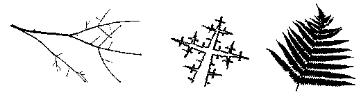 Imatges de la natura