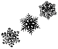 Representacions fractals