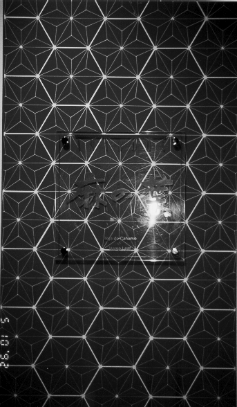 Descriu aquest disseny japon�s