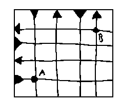 Quadrícula
