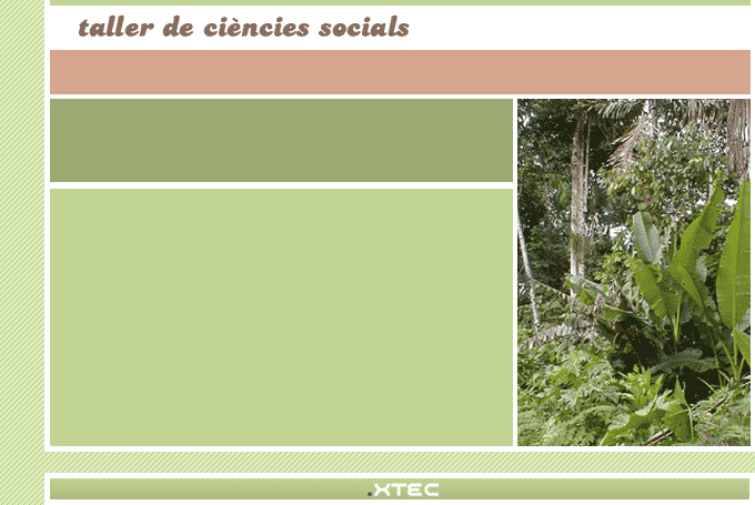 Taller de ciències socials