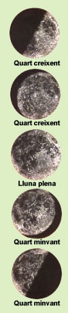 El cicle lunar