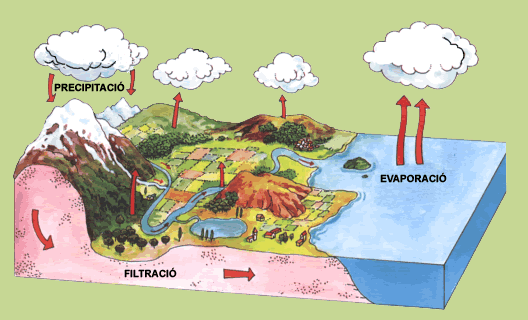 El cicle de l'aigua El cicle de l'aigua