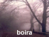 boira