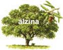 alzina