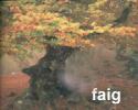 faig faig