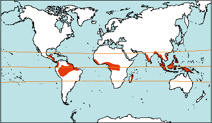 mapa clima equatorial