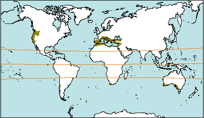 mapa clima mediterrani