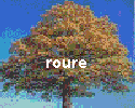 roure roure
