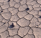 Desertitzaciķ Desertitzaciķ