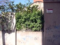 C. de la Barca amb M.de Déu del C.