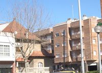 Pi i Gibert amb Mare de Déu del carme