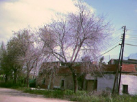 Carrer Cristòfor Colom
