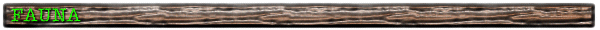fauna2.gif (13593 bytes)
