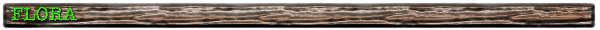 flora2.gif (13556 bytes)