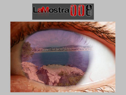 Accés a la pàgina web amb les fotos, la memòria i les composicions