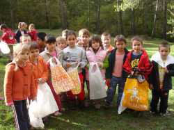 Recollint fruits de la tardor
