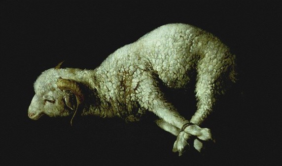 Francisco Zurbarán. Agnus Dei (Madrid, Museo del Prado). 1635.