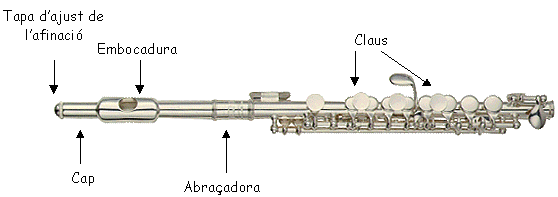 el flautí