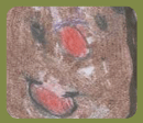 &Egrave;ric R. (1r)