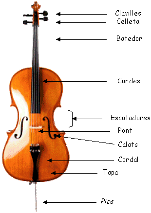 violoncel