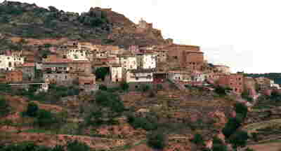 Tartareu