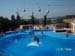 dofins marineland 02