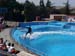 dofins marineland 79