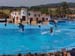 dofins marineland 83