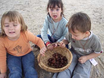 castanyada capmany 2006 104