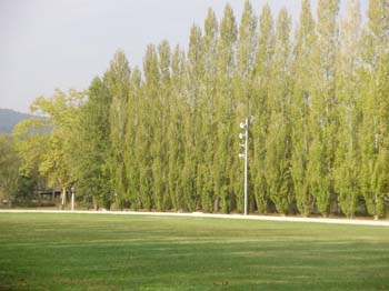 banyoles ci 085