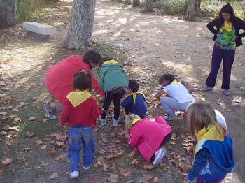 banyoles ei 13