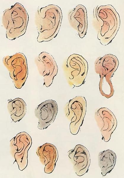 Orelles