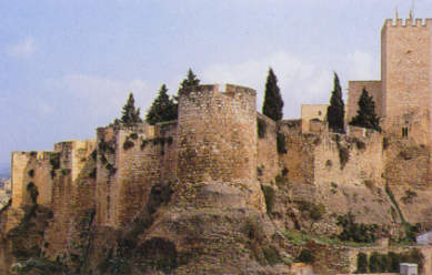 web Aj. de Tortosa