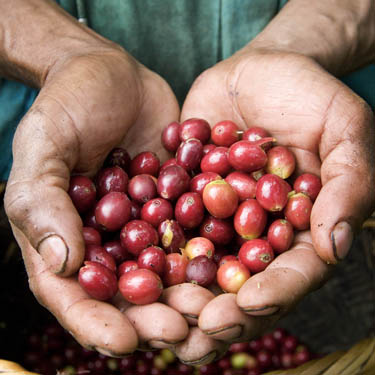 fairtrade fairtrade.jpg