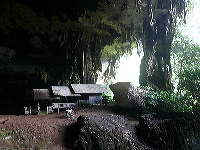 Cuevas de Niah