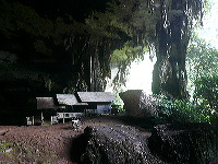 Cuevas de Niah