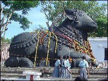Toro de Nandi