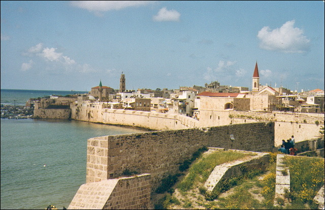 s40.jpg
