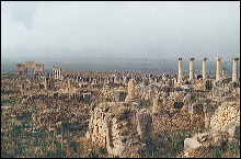 Volubilis