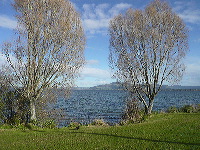 Lago de Rotorua