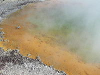 Champagne pool