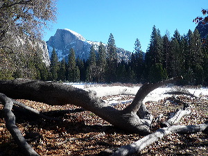 Yosemite