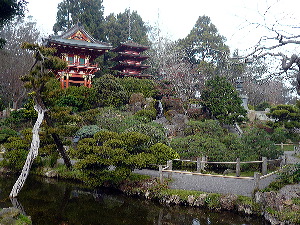 Japanese Garden