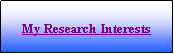 Cuadro de texto: My Research Interests 