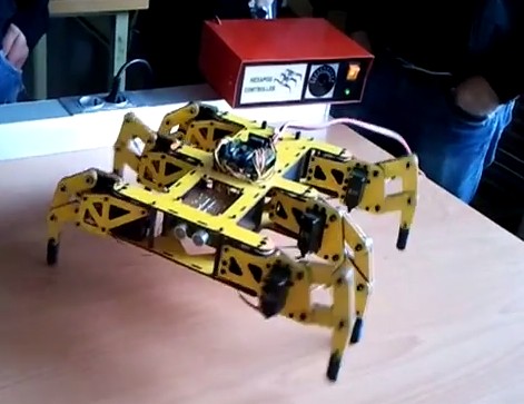 araña